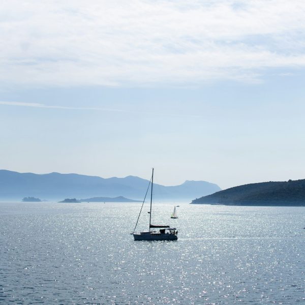 filip-baotic-JX5fHgK8TY8-unsplash